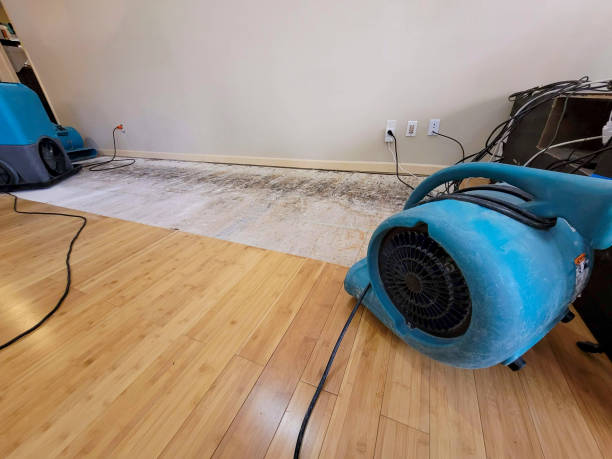 Professional Water Extraction technician working in Middletown, MD
